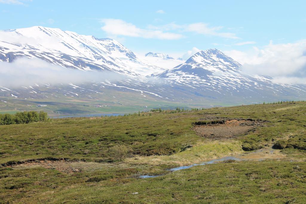 Dalvik Vegamot Cottages Buitenkant foto